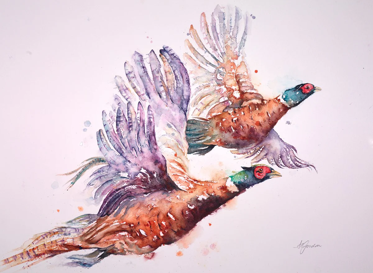 Take Off - Flying Pheasants - Image 2
