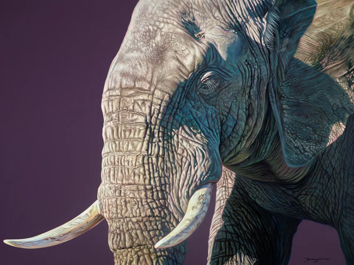 Tembo - Image 2