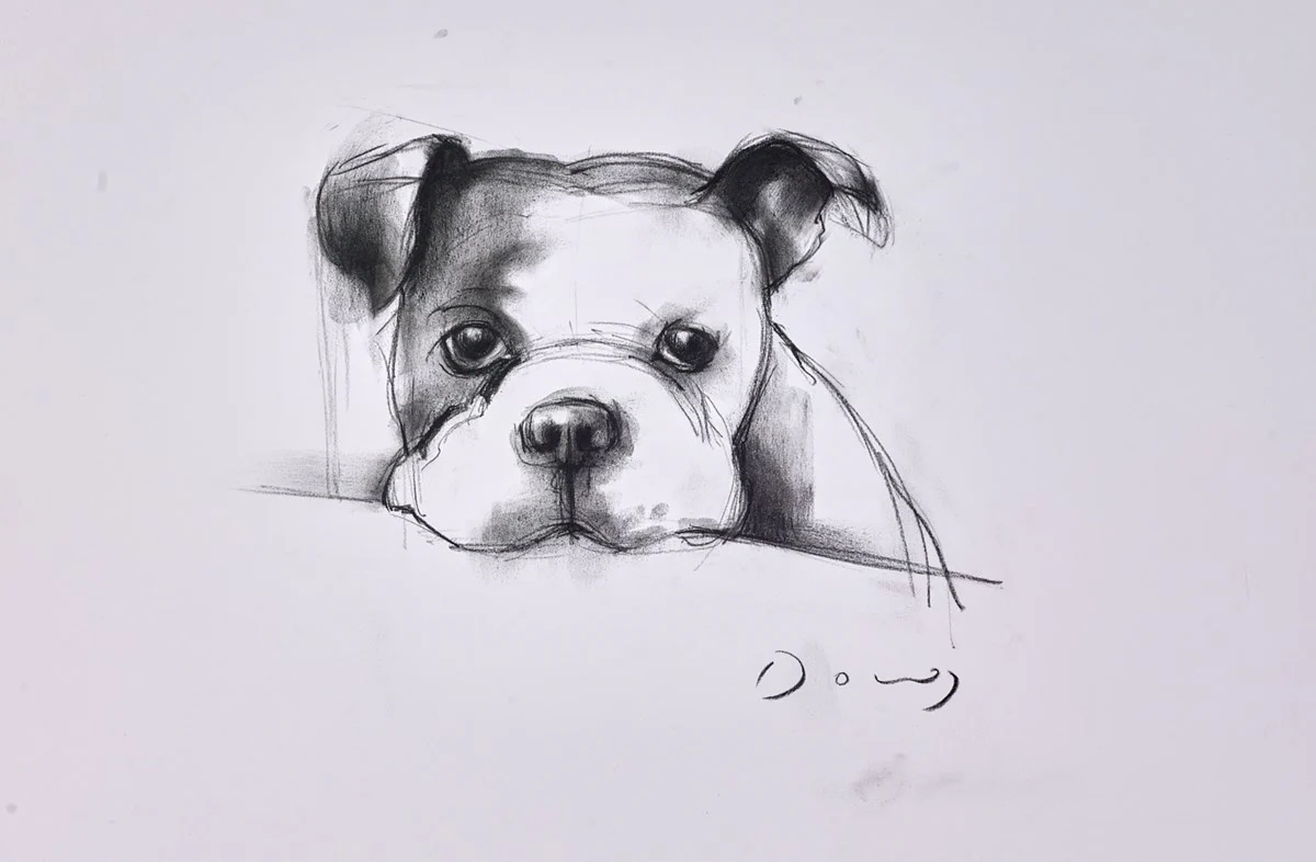 The Bulldog