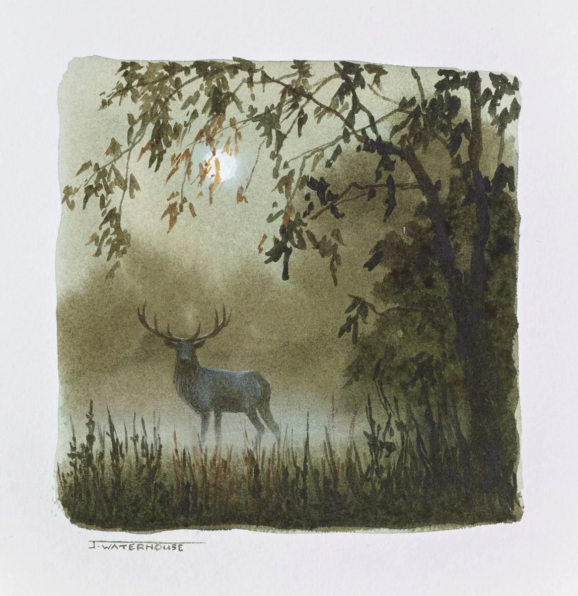 The Close Encounter(Study) - Image 2