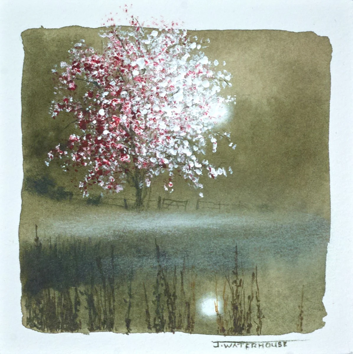 The Fairy Tree (Study) - Image 2