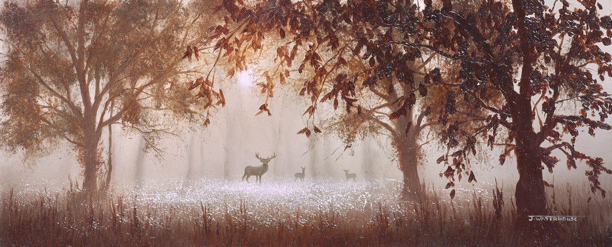 The Fleeting Glimpse - Image 2