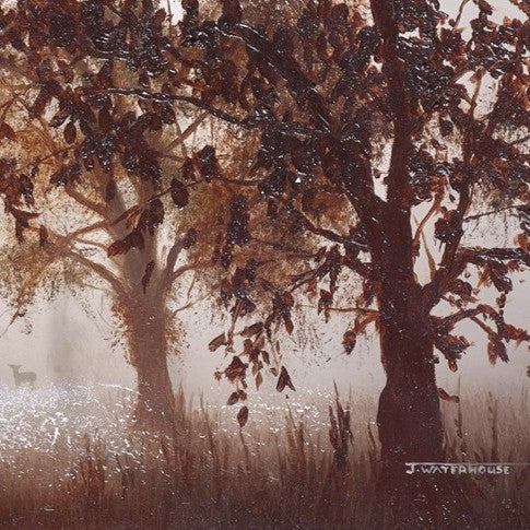 The Fleeting Glimpse - Image 4