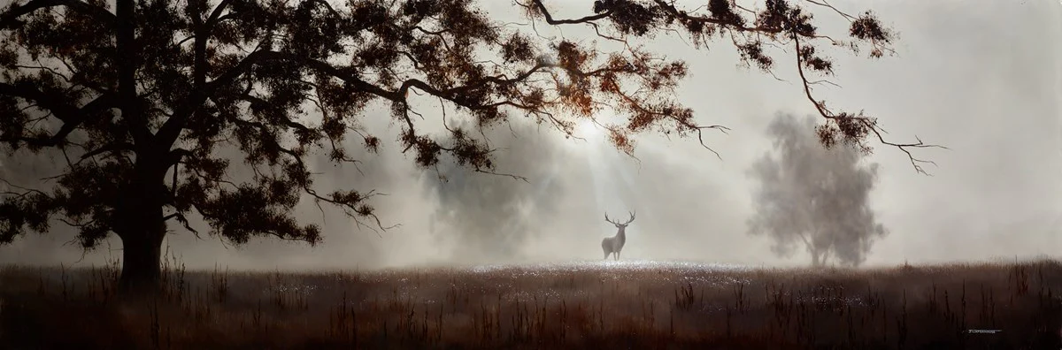 The Fleeting Glimpse