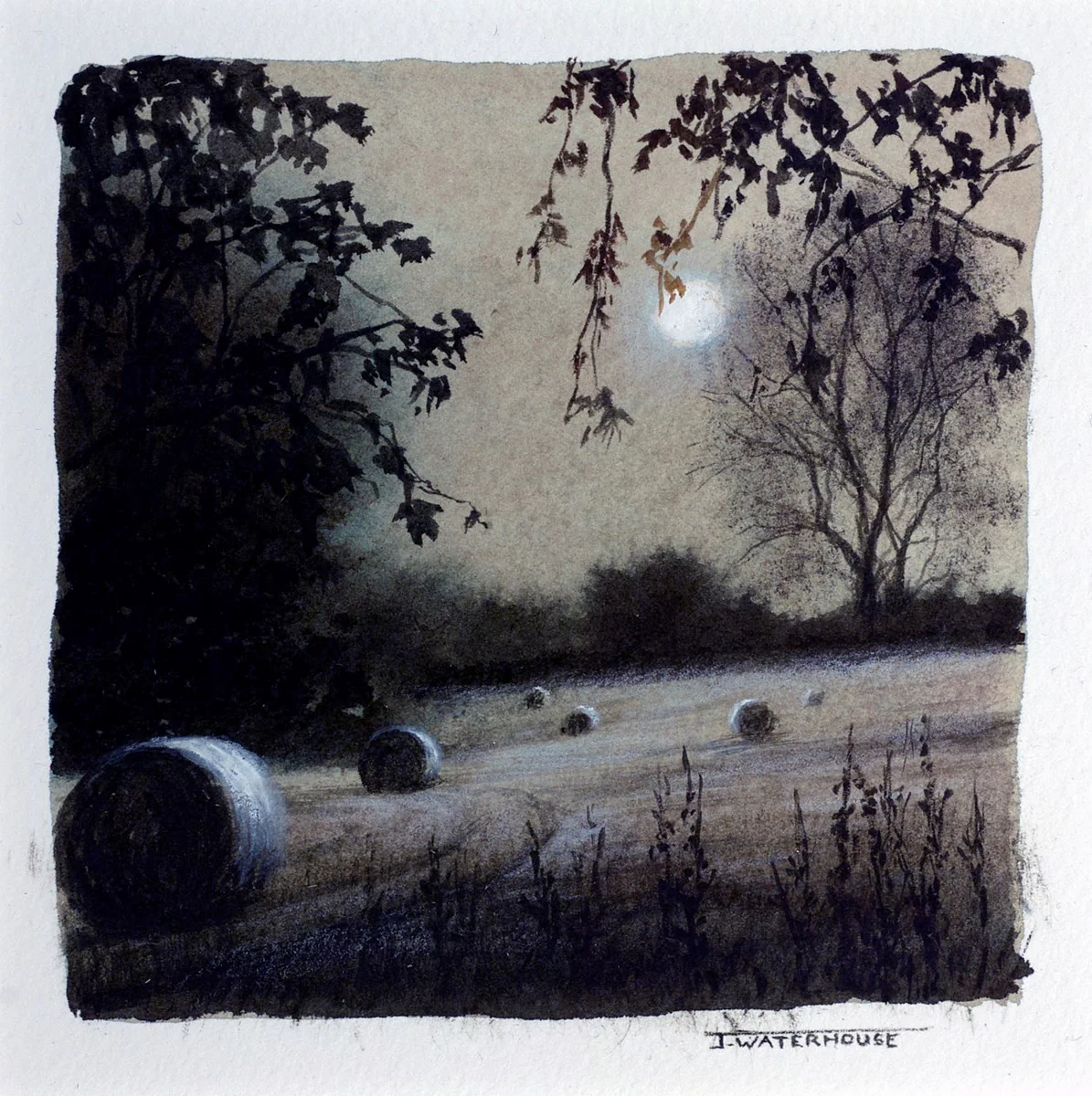 The Garden Of Life (Study)