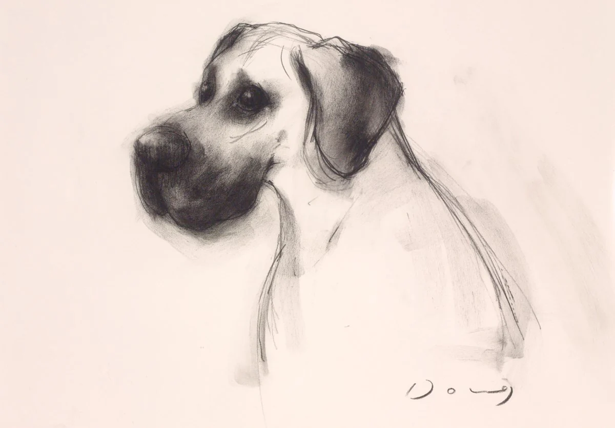 The Great Dane - Image 2