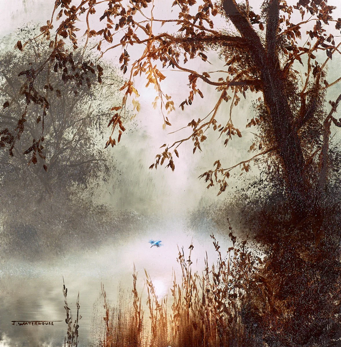 The Kingfisher - Image 2
