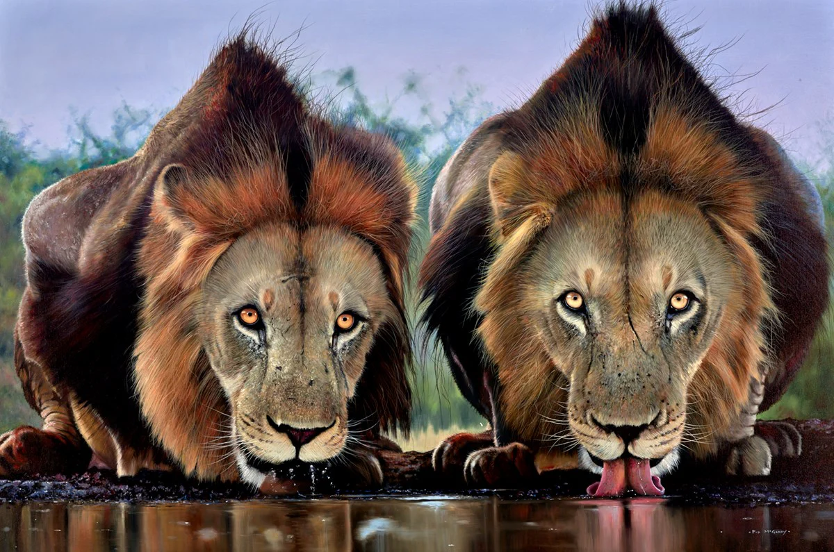 The Lion's Share - Image 2