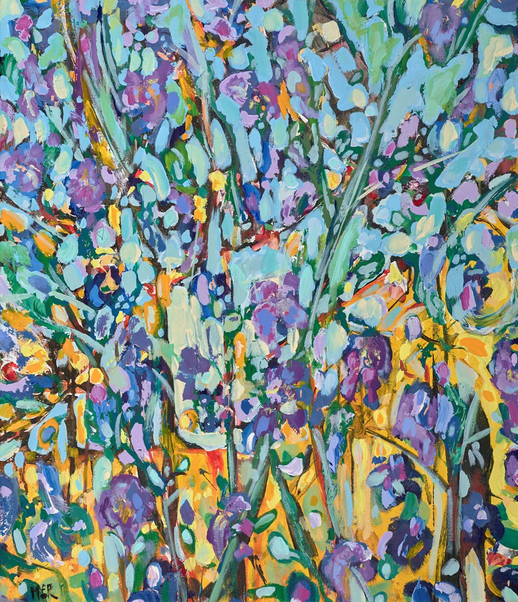 Morning Light, Purple Iris
