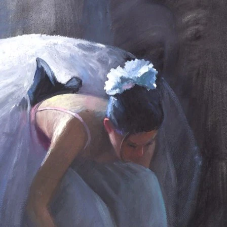 The Pink Ballet Shoes - Image 4