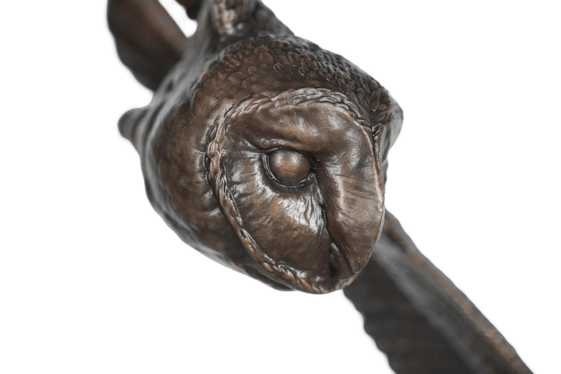 The Watcher - Image 2