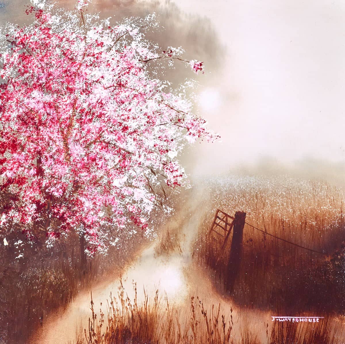 This Enchanted Place - Image 2