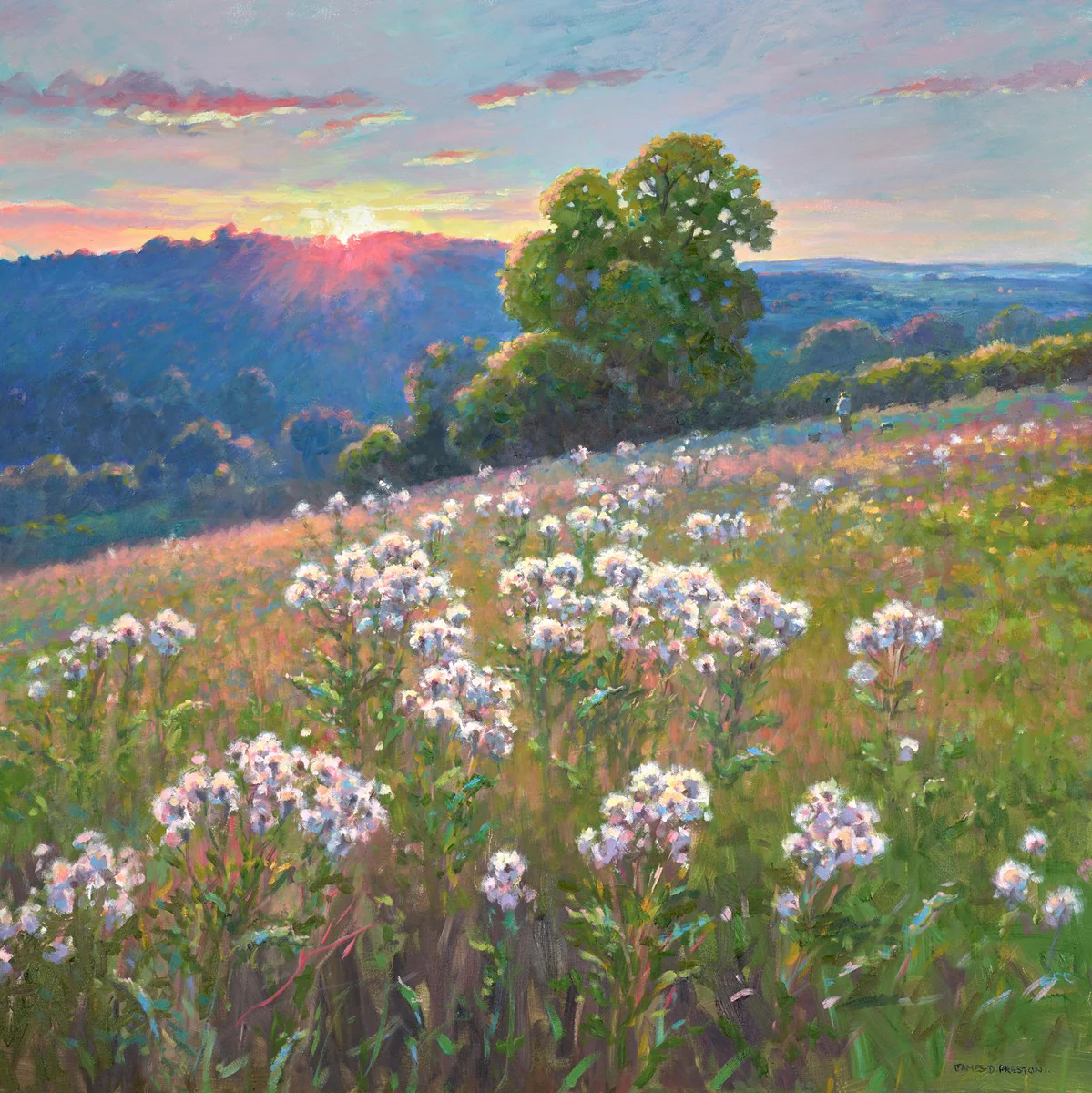 Thistles (Sunset) - Image 2
