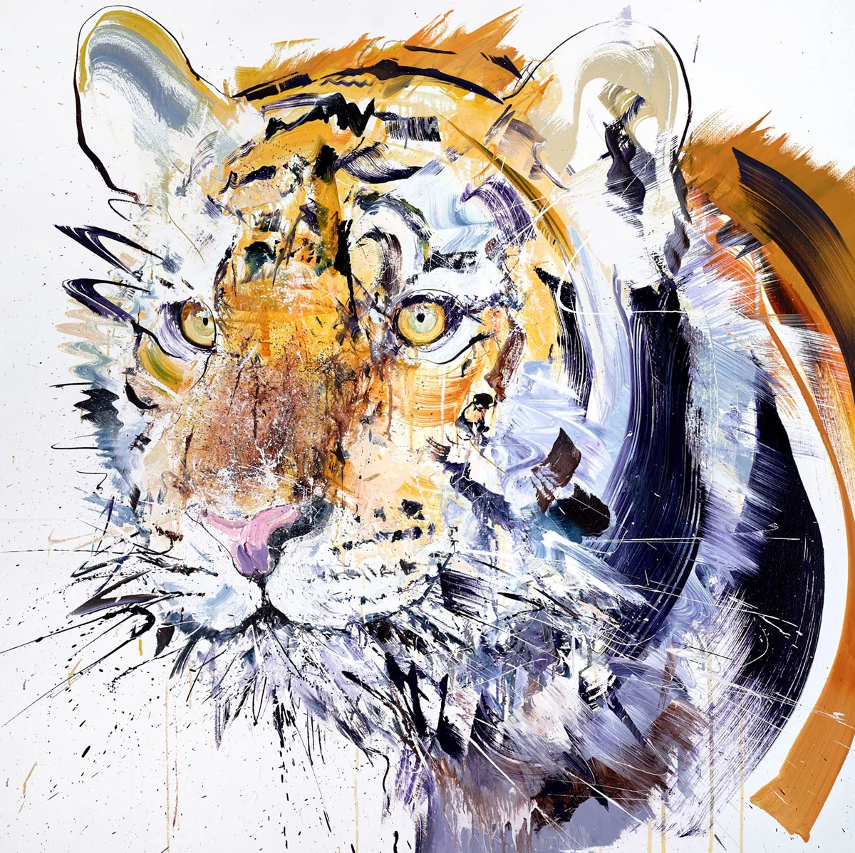 Tiger - Image 3