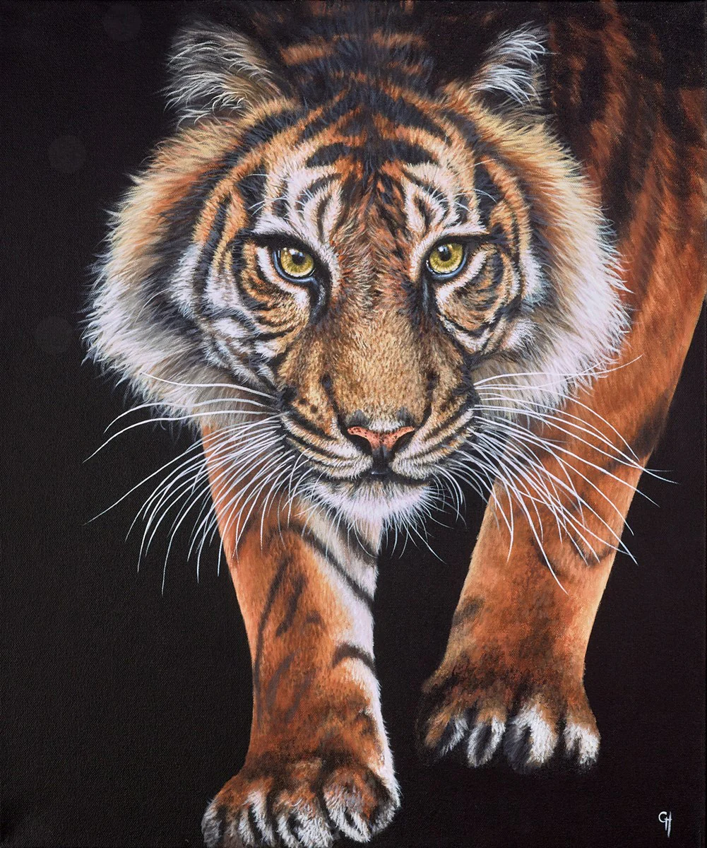 Tiger - Image 2