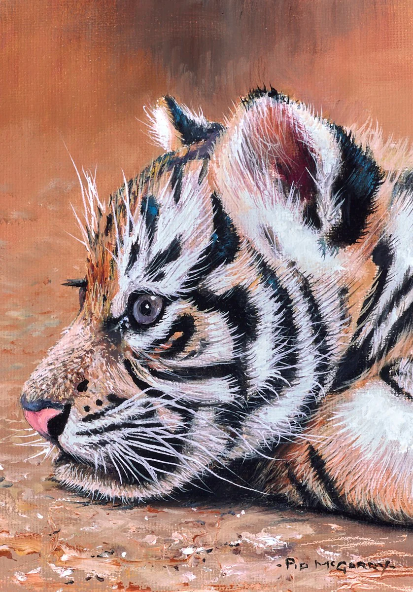 Tiger Cub Days - Image 2
