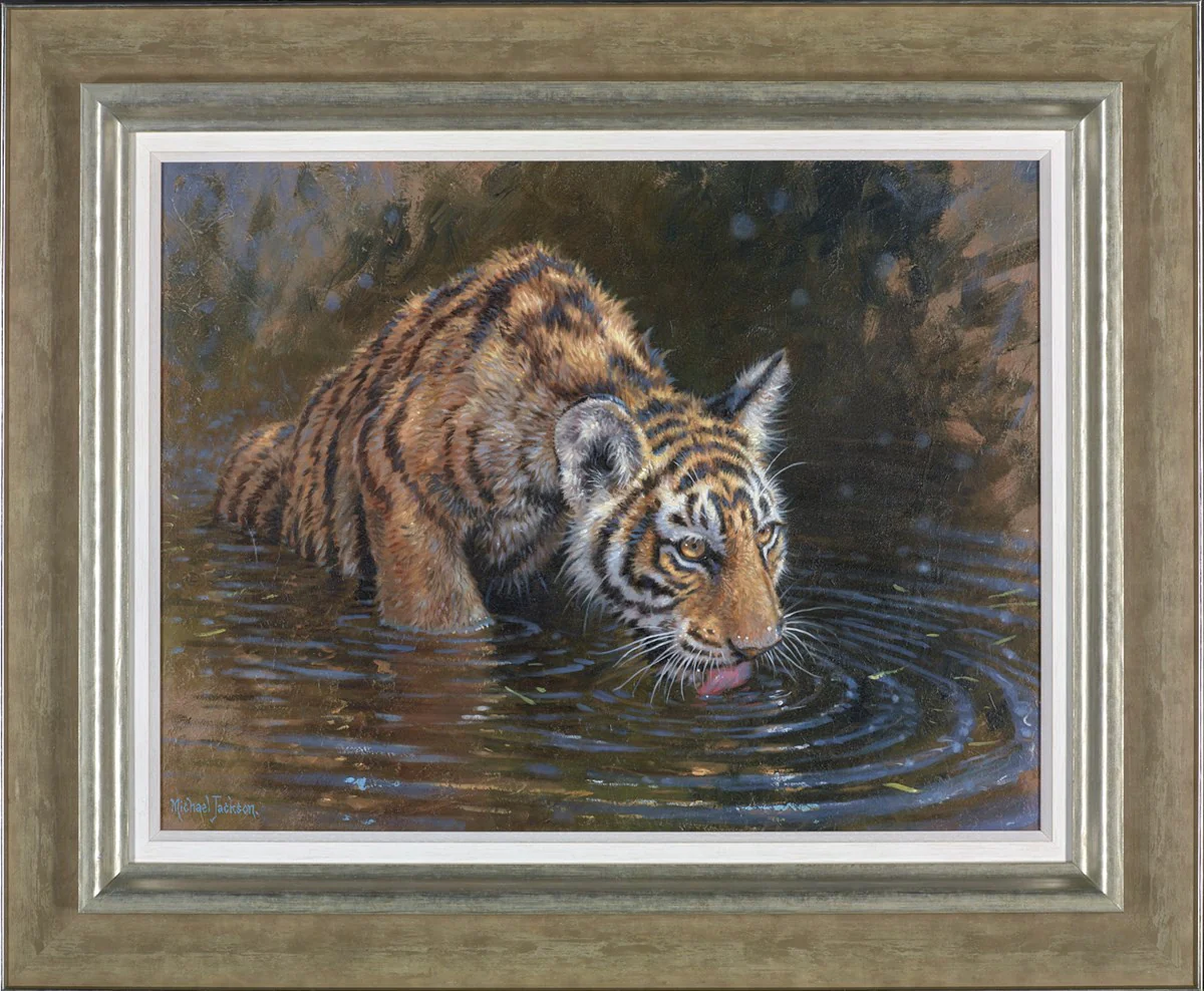 Tiger Cub In Water