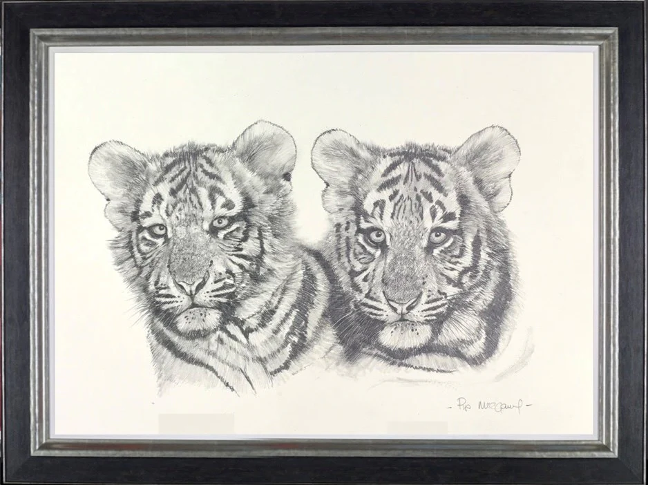 Tiger Cubs Sketch