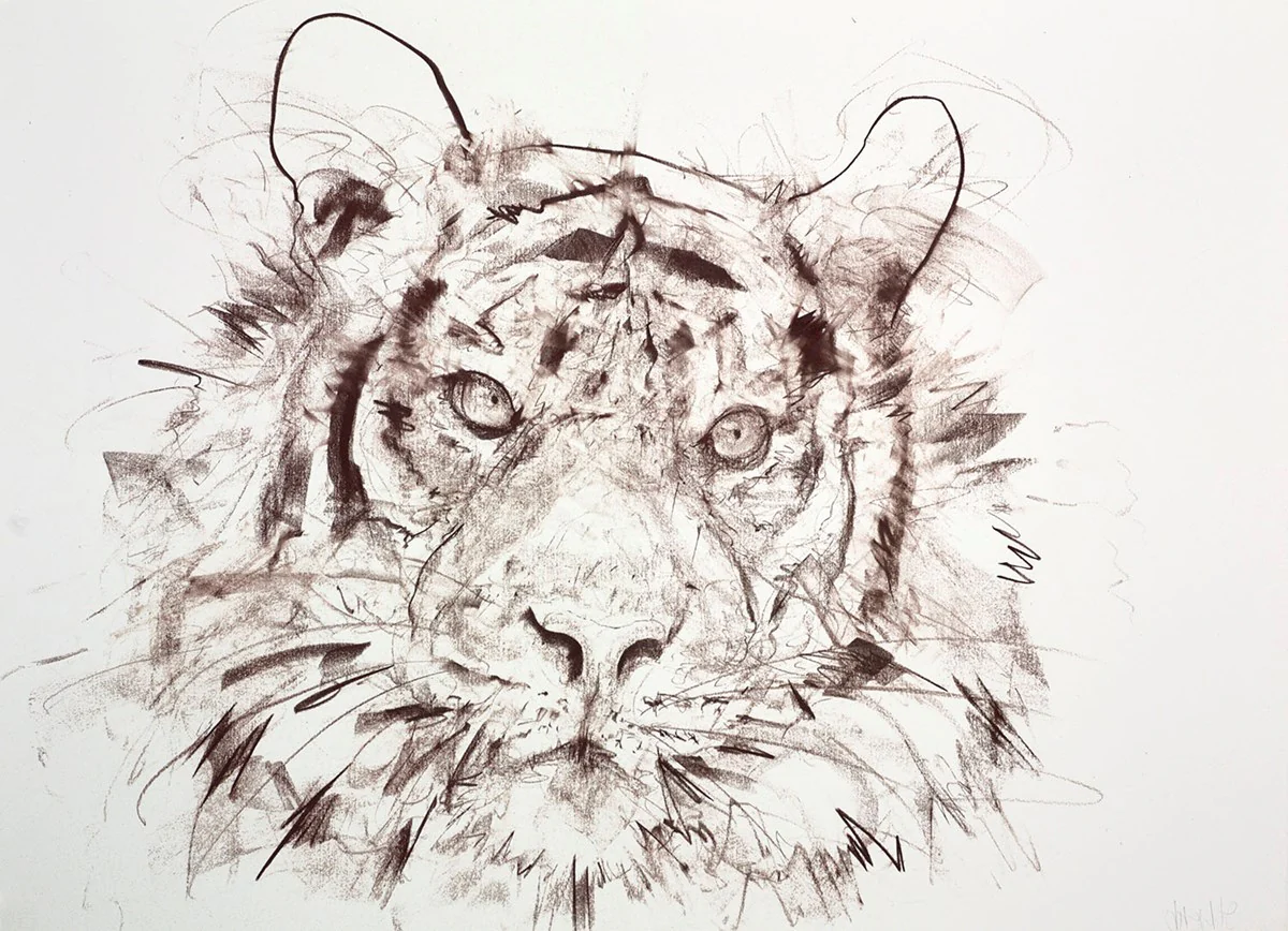 Tiger II (Study)