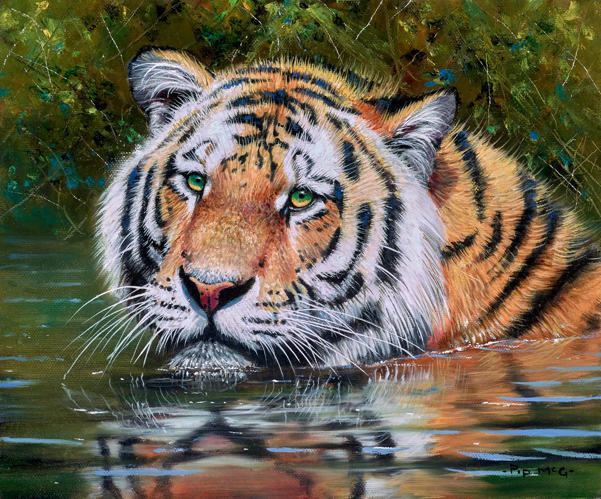 Tiger In Water - Image 2