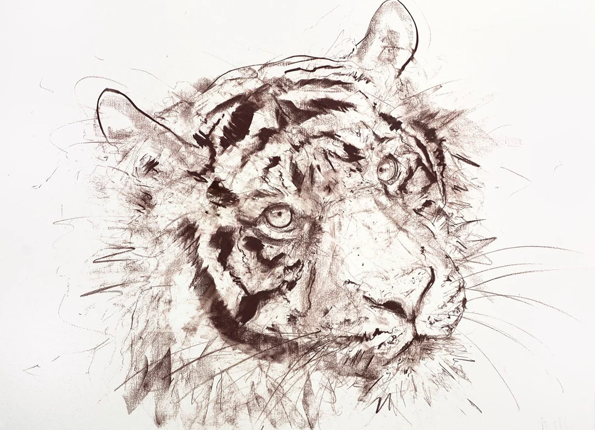 Tiger Study IX