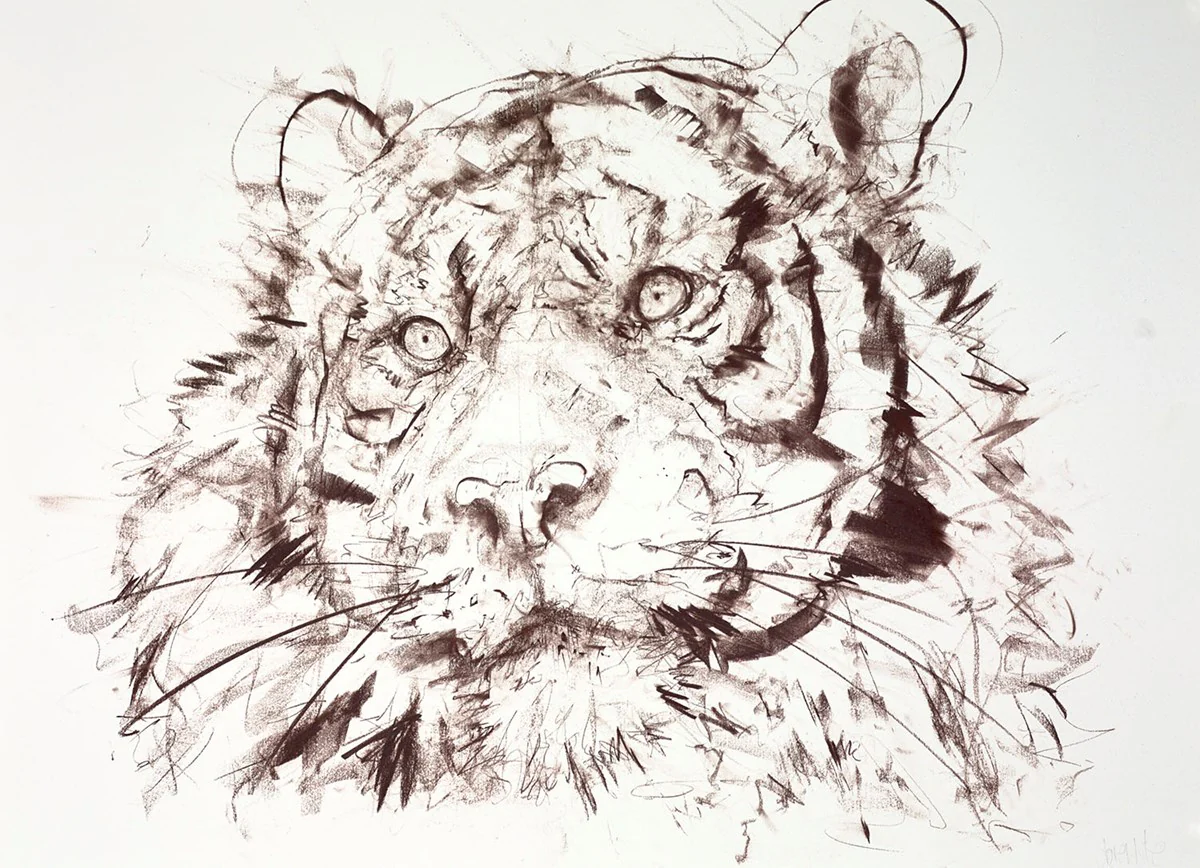 Tiger Study VI - Image 3