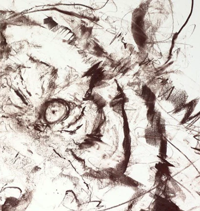 Tiger Study VI - Image 4