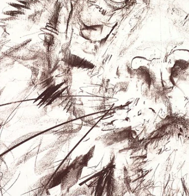 Tiger Study VI - Image 5