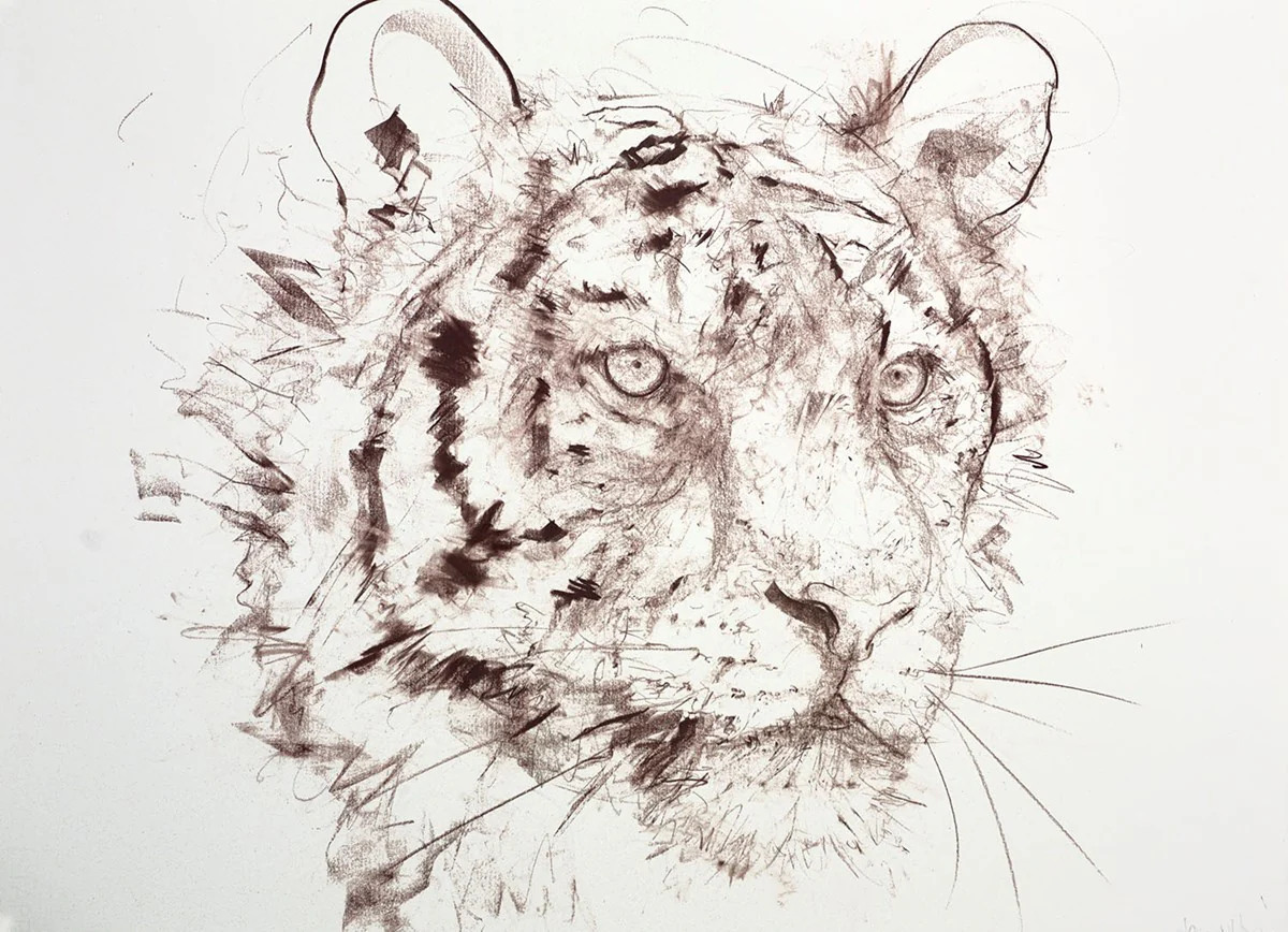 Tiger Study VIII