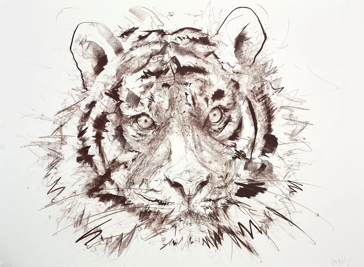 Tiger V (Study)