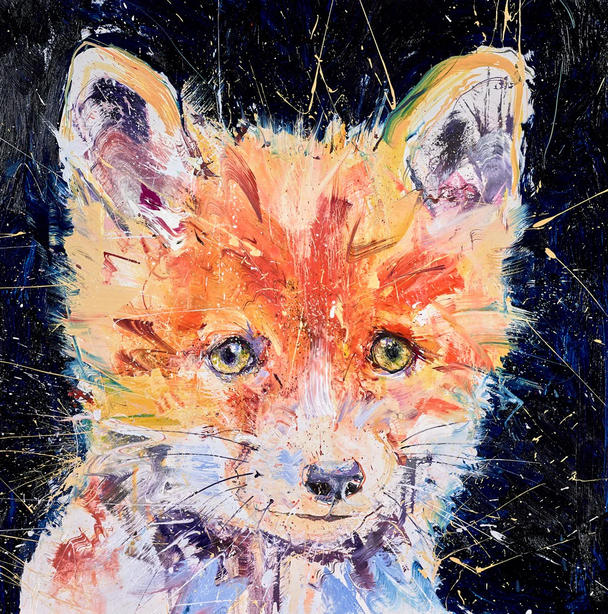 Timid - Image 3