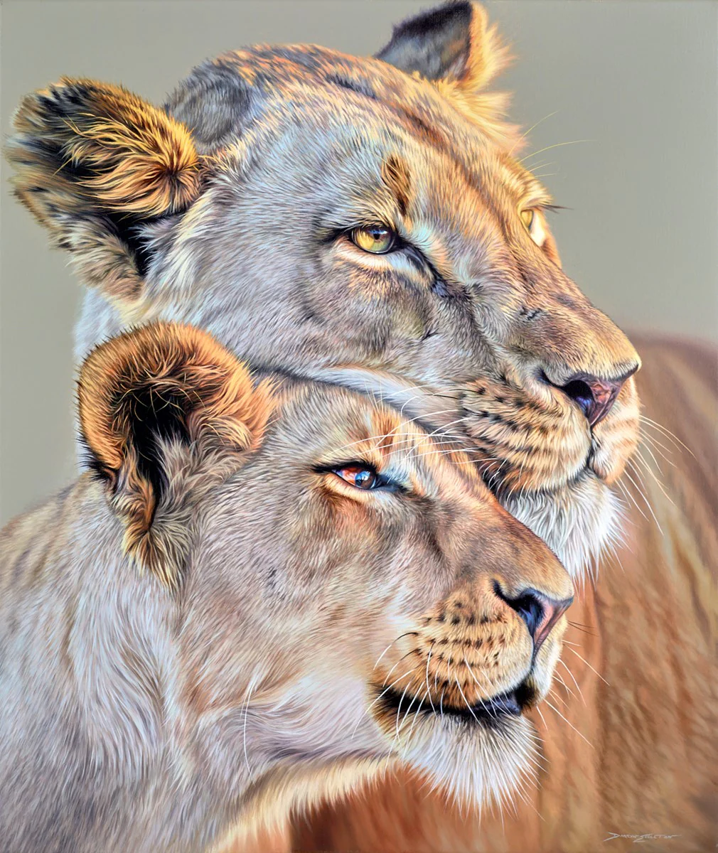 Tough & Tender - Image 2
