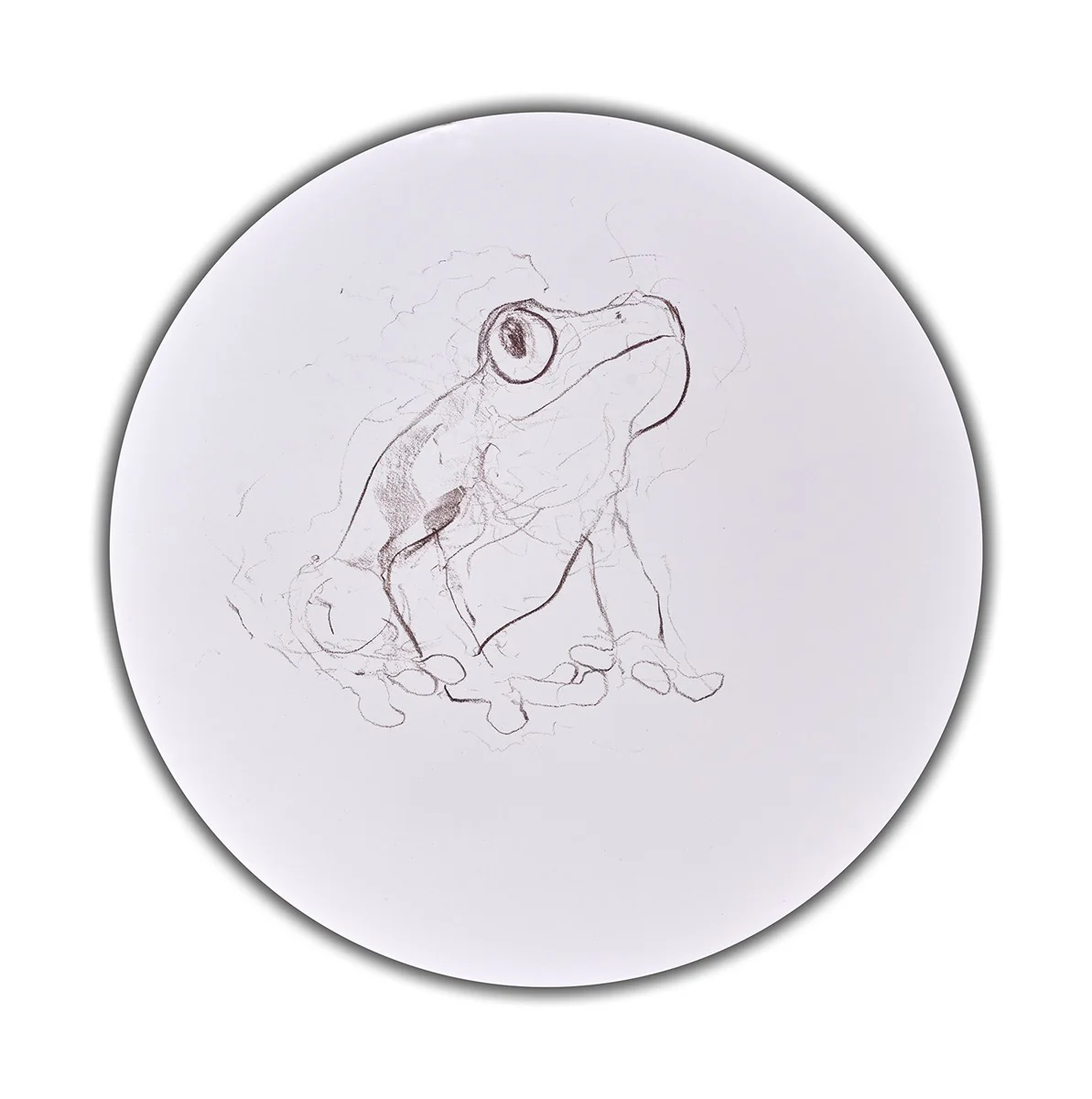 Tree Frog Study II