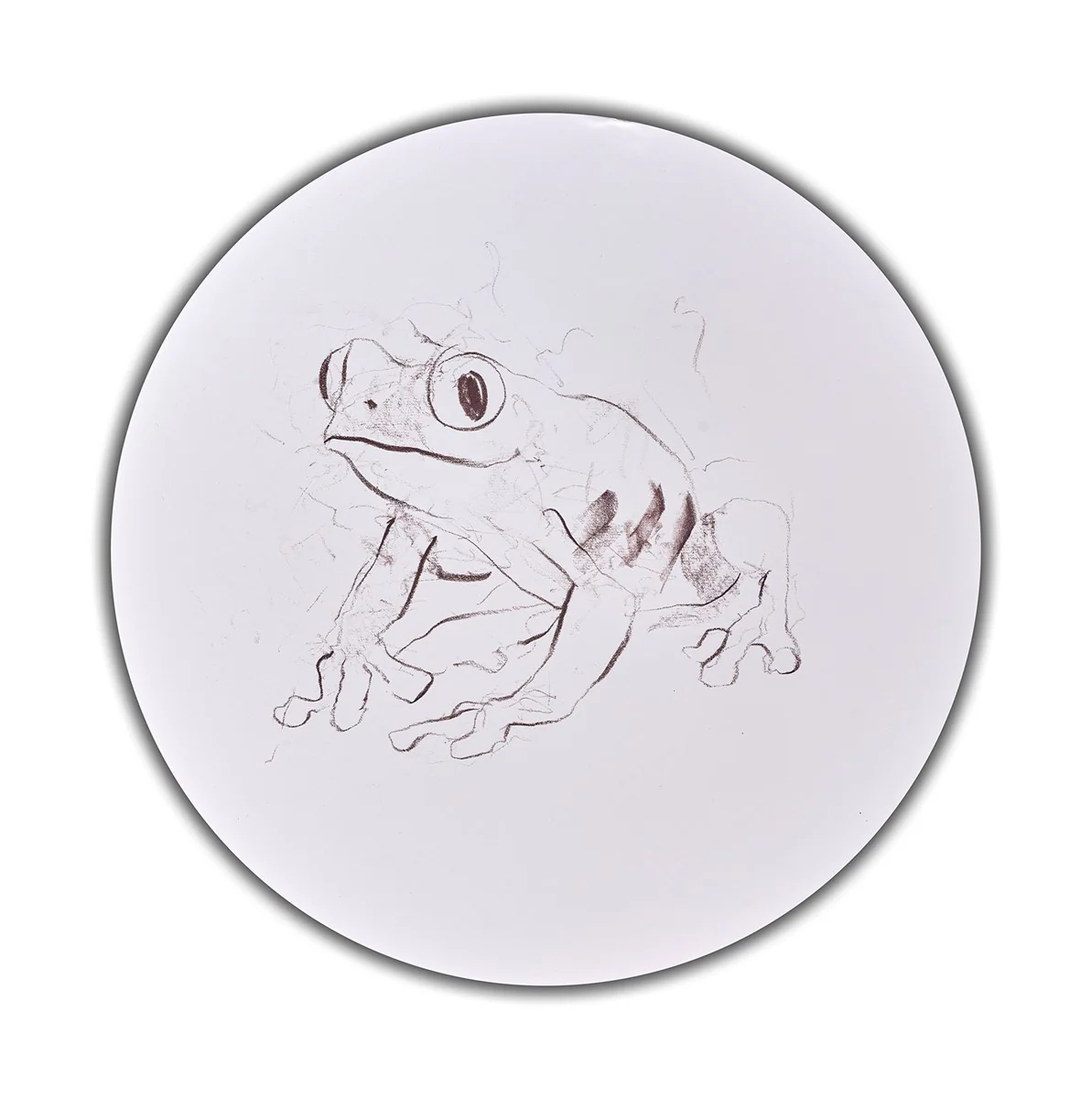Tree Frog Study IV