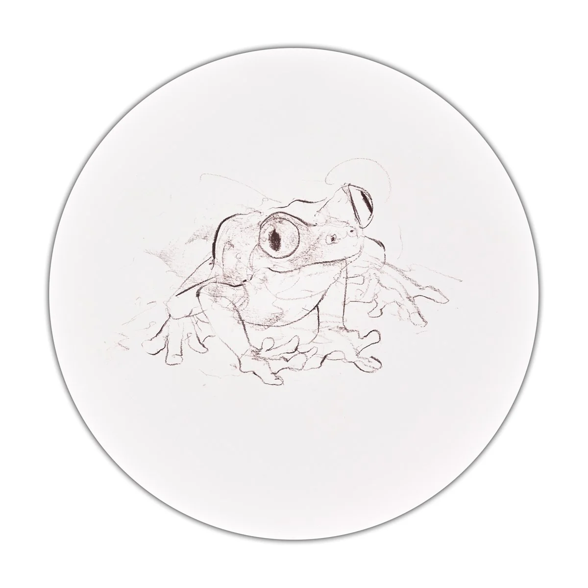 Tree Frog Study V
