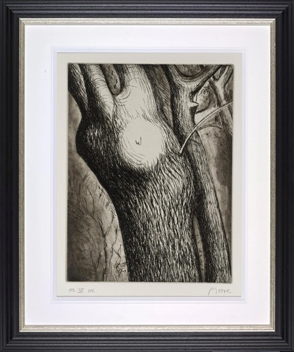 Trees VI: Dead Ash