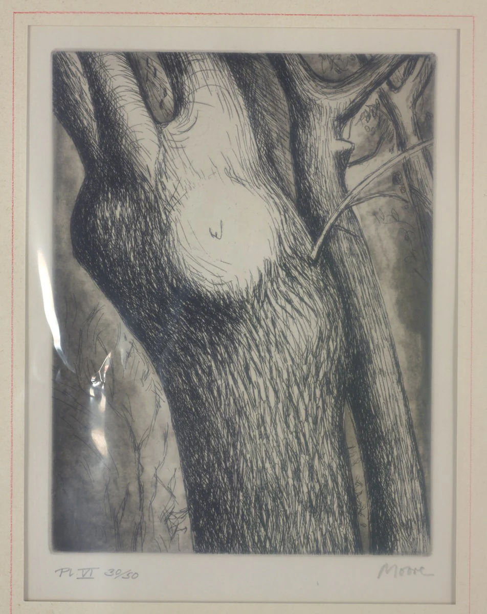 Trees VI: Dead Ash - Image 2