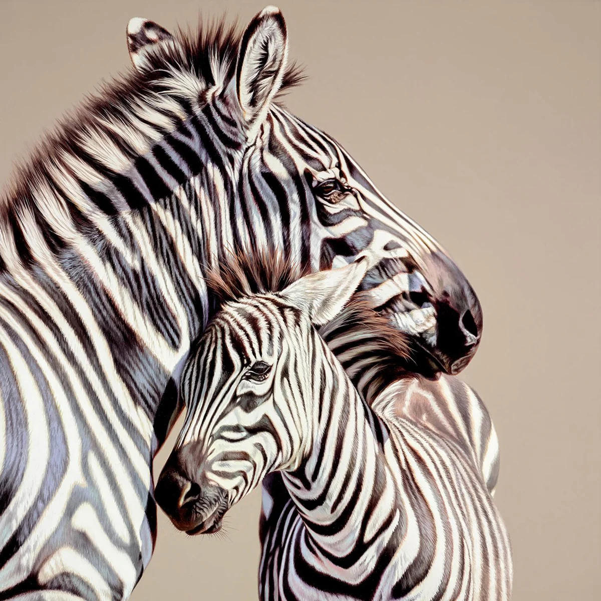 Two Of A Kind - Image 3