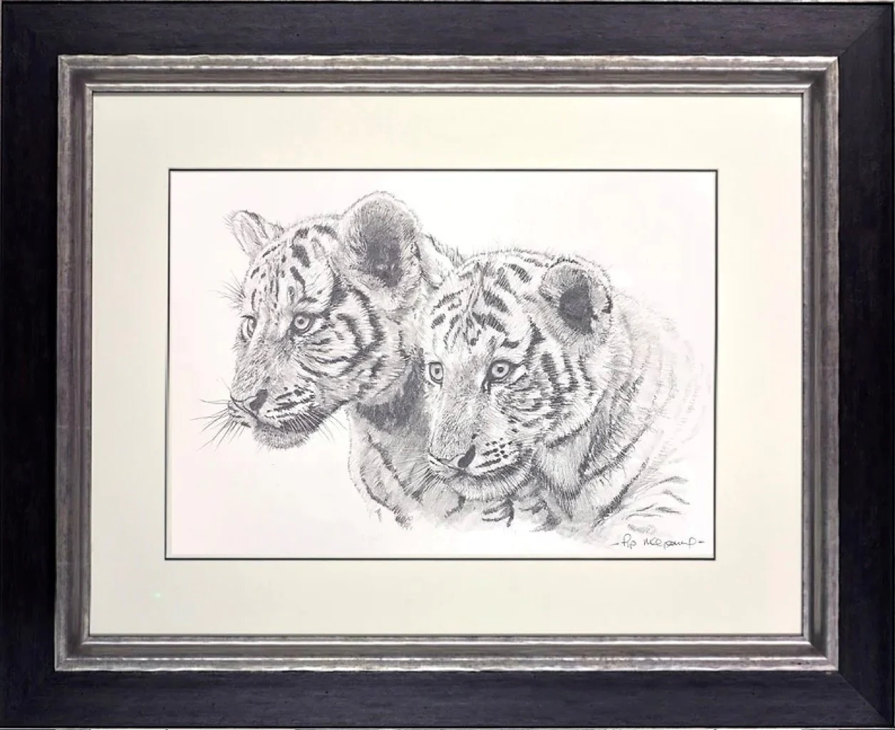 Two White Tiger Cubs