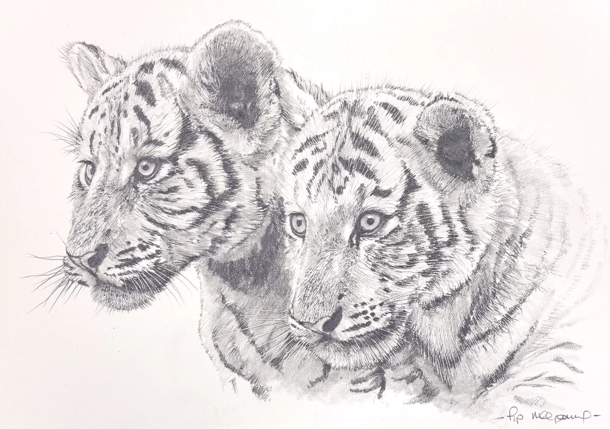 Two White Tiger Cubs - Image 2