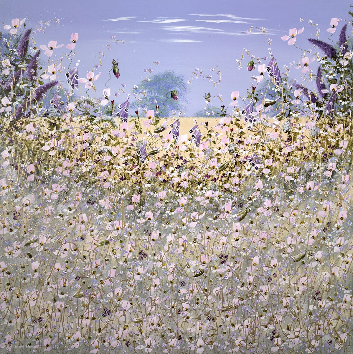 Violet Morning