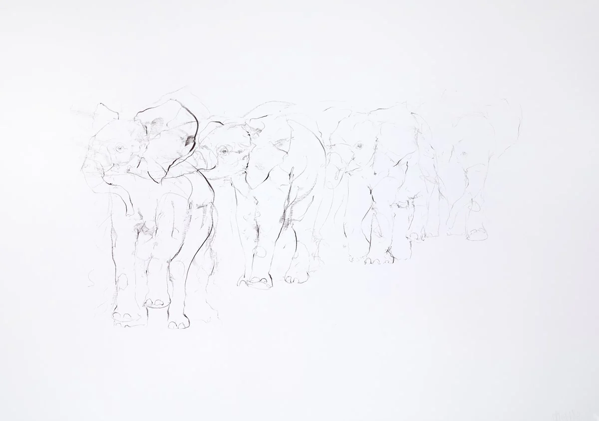 Walking Elephant Study I