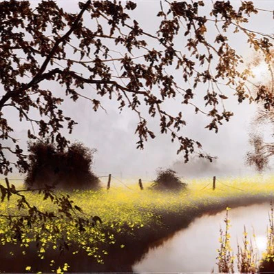 Walking Through Sunshine - Image 4