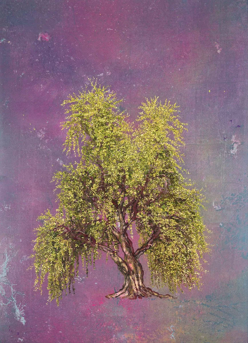 Weeping Willow - Image 2