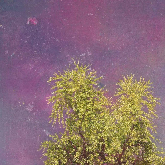 Weeping Willow - Image 4