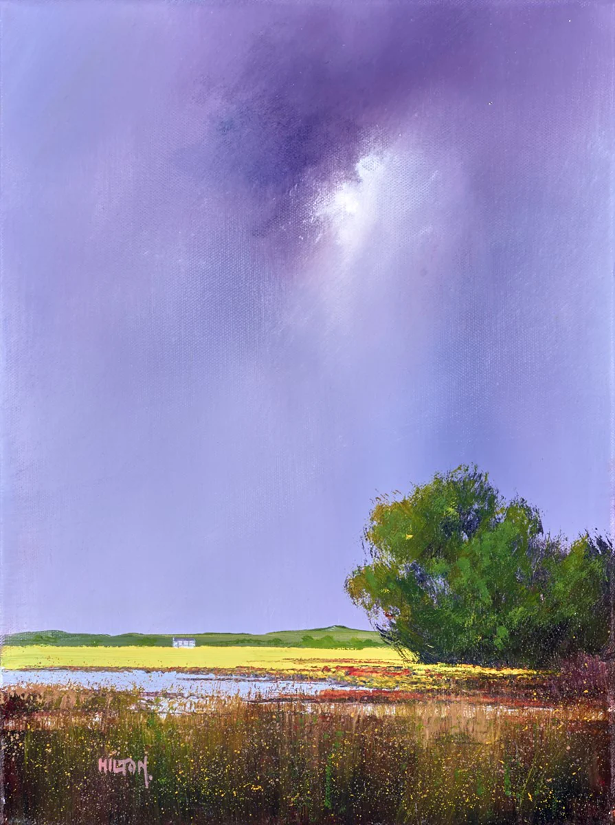 Wet Field Bog