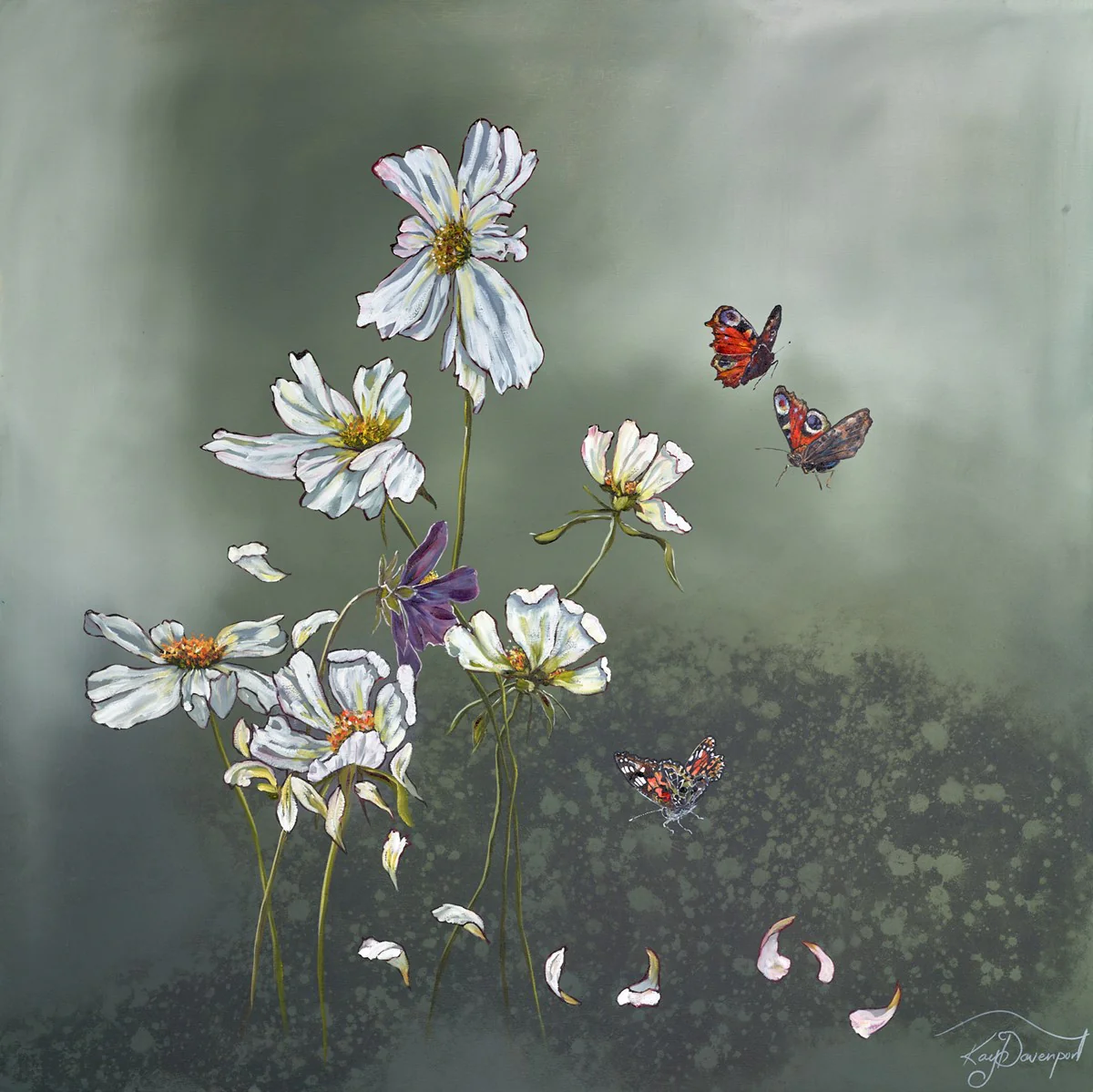 Wild Cosmos