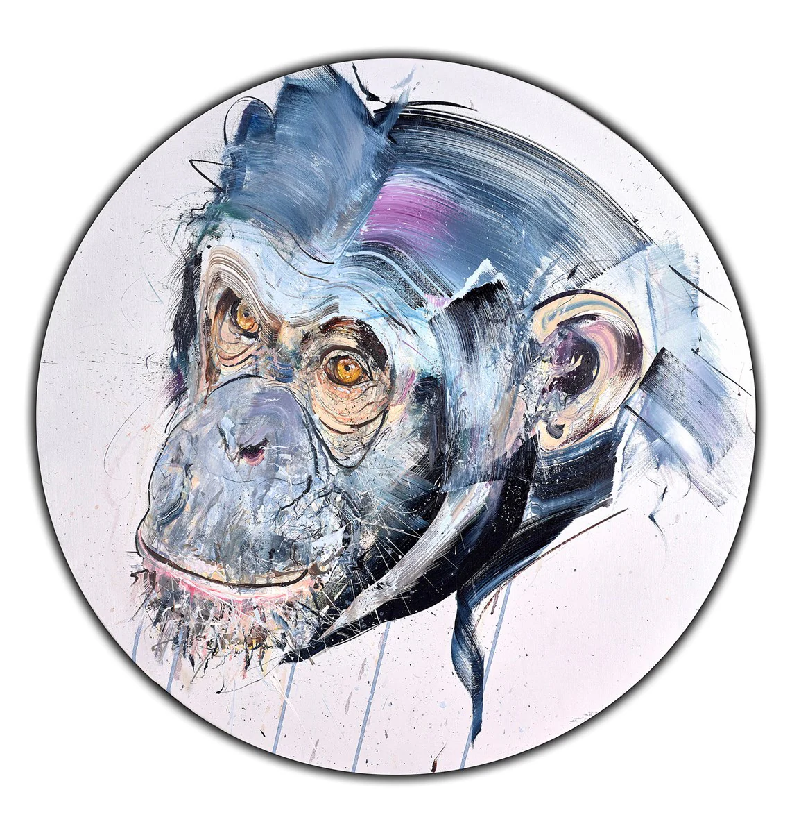 Wisdom - Image 3
