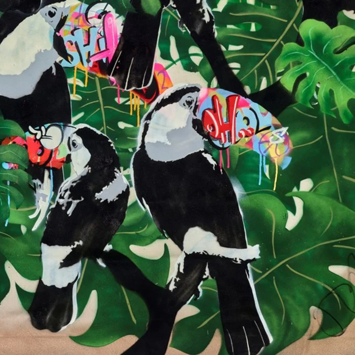 You Can, Toucan - Image 3