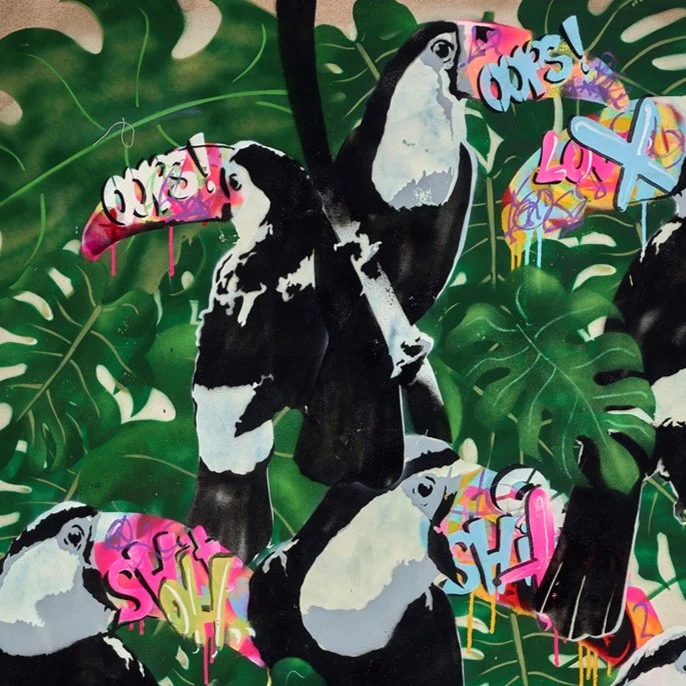You Can, Toucan - Image 4